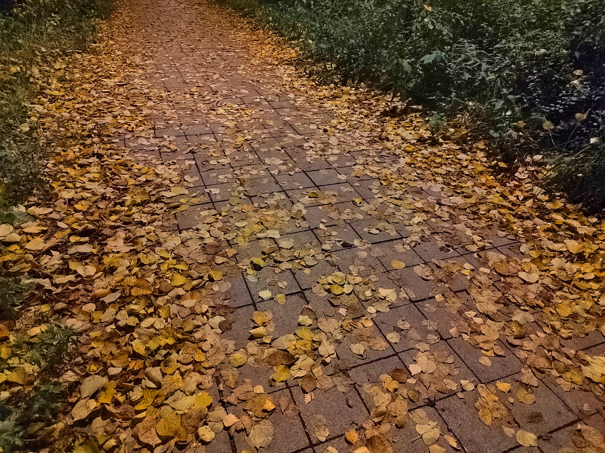 ДВЕ ТЫСЯЧИ СОТЫЙ  (⚡️⚡️⚡️ Новое стихотворение 
⚡️⚡️⚡️ Натальи Макеевой)
