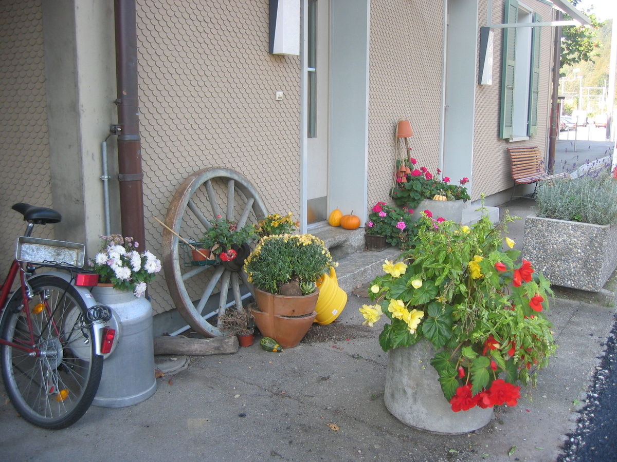 мне нравится то, как швейцарцы оформлят придомовое пространство; листать вправо