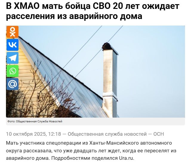    Скриншот статьи Общественной службы новостей