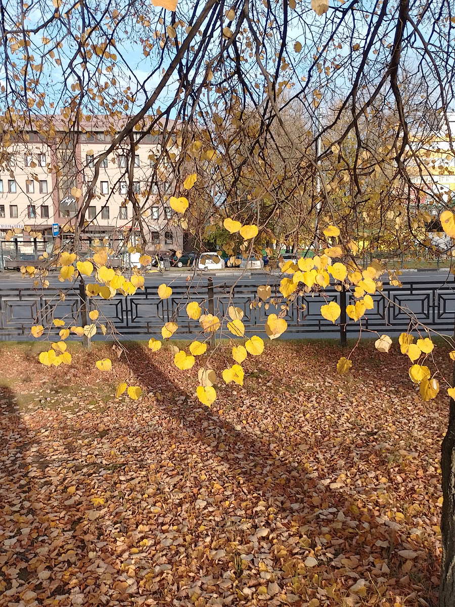 Фото автора.