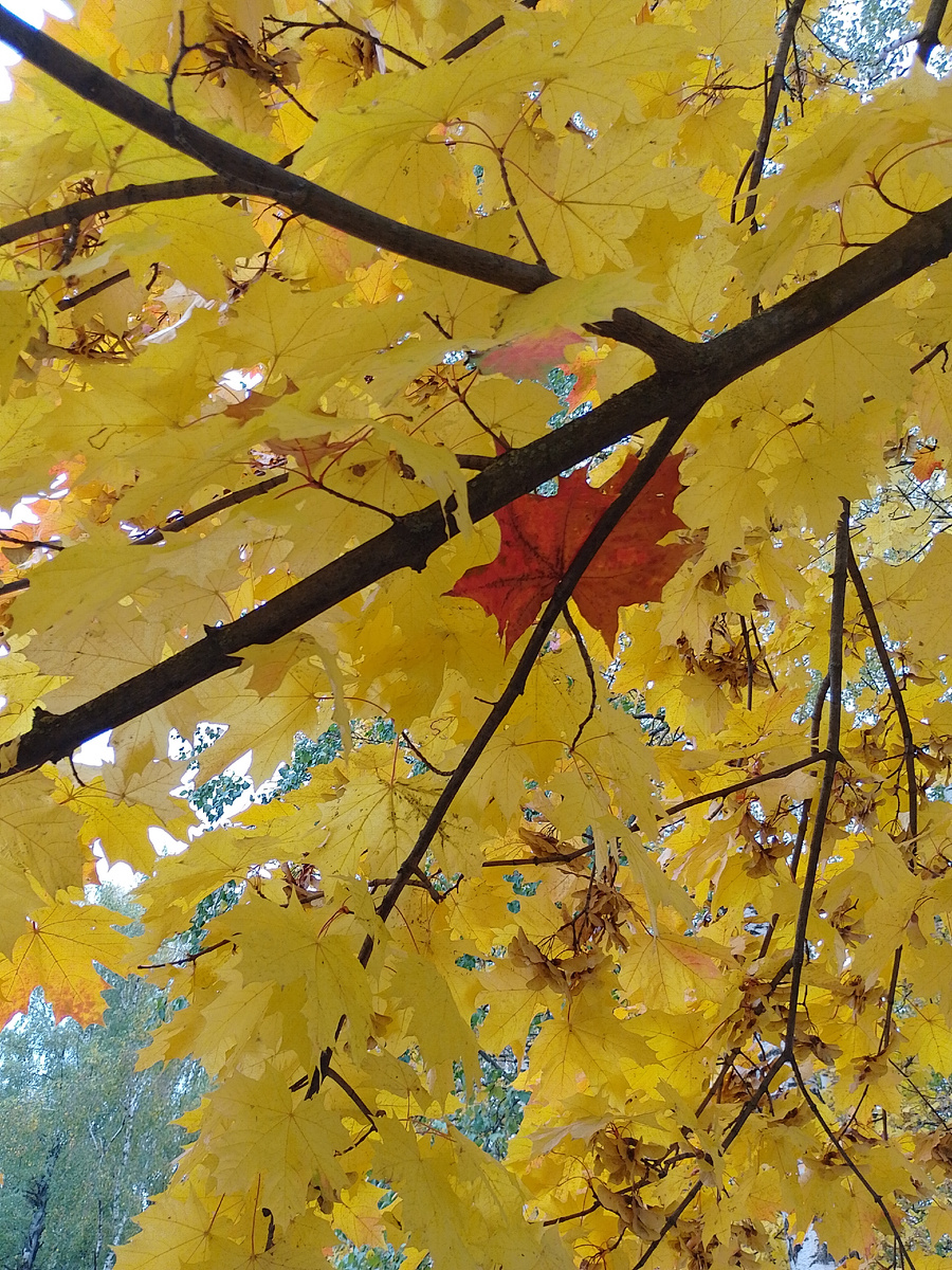 Фото автора.