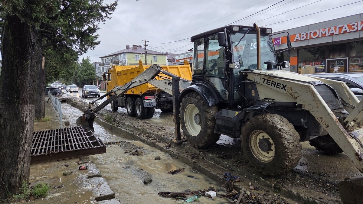    Фото t.me/officialsochi