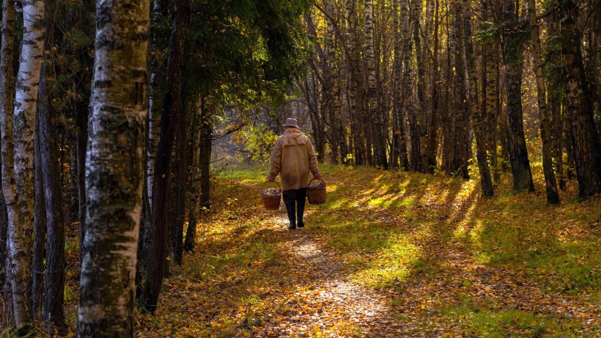    Фото: Contarez/Shutterstock/Fotodom