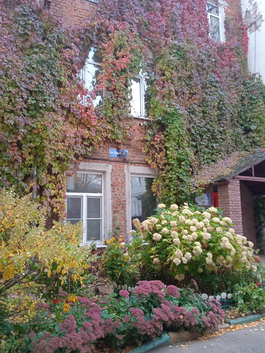 Городские кварталы