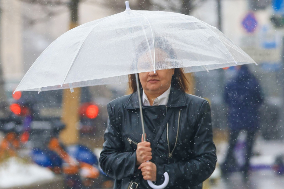    Наталья Шатохина/NEWS.ru