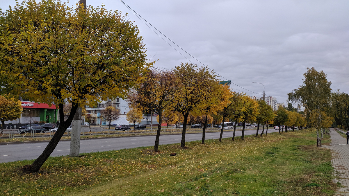 Фото автора 