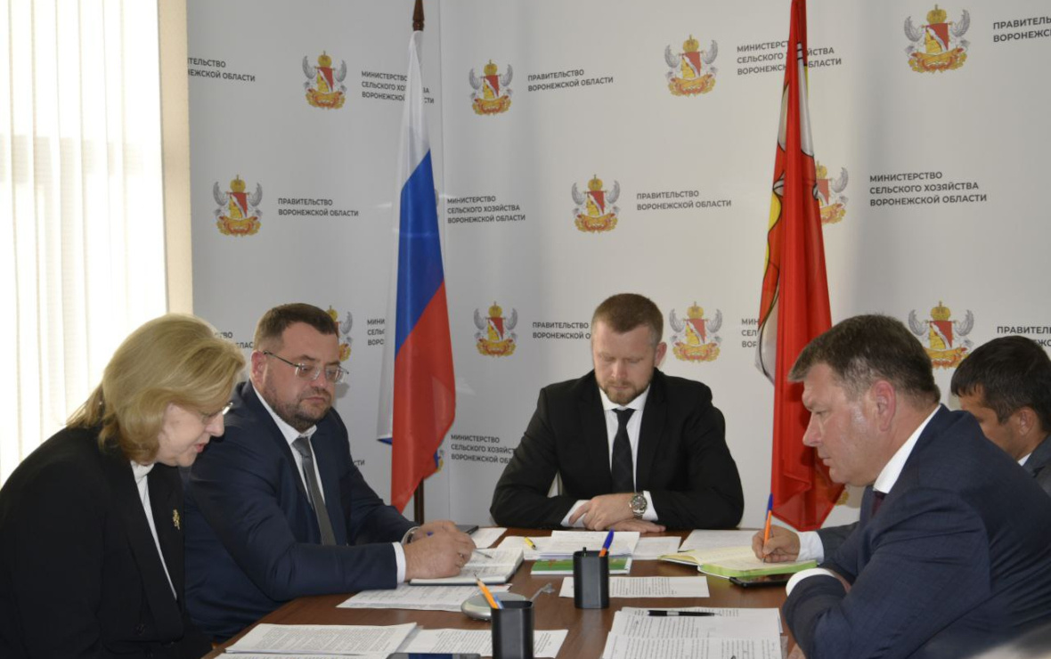 Фото: пресс-служба правительства Воронежской области