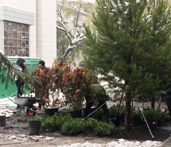 Кадр видео из соцсетей мэра Максима Кудрявцева.