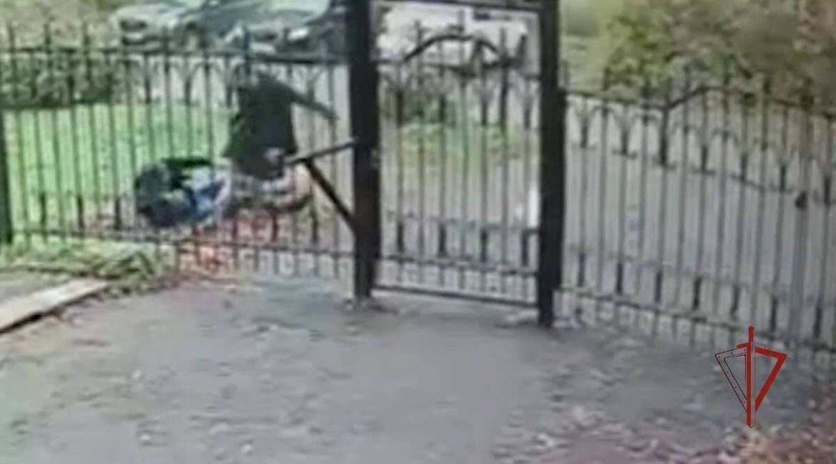    Фото: скриншот с видео / пресс-служба Росгвардии по Московской области