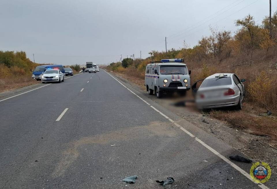    Фото: ГУ МВД России по Волгоградской области