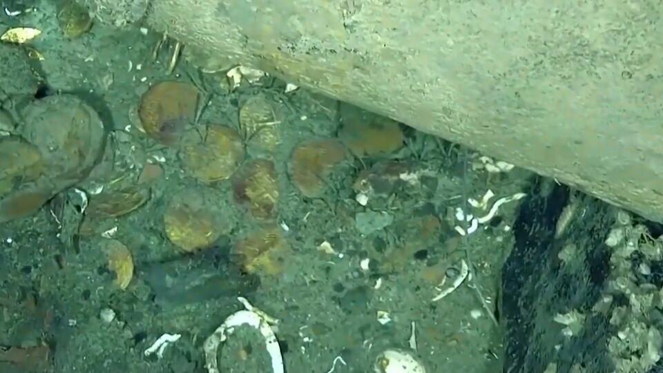 ФОТО: Кадр из программы "Загадки человечества", РЕН ТВ