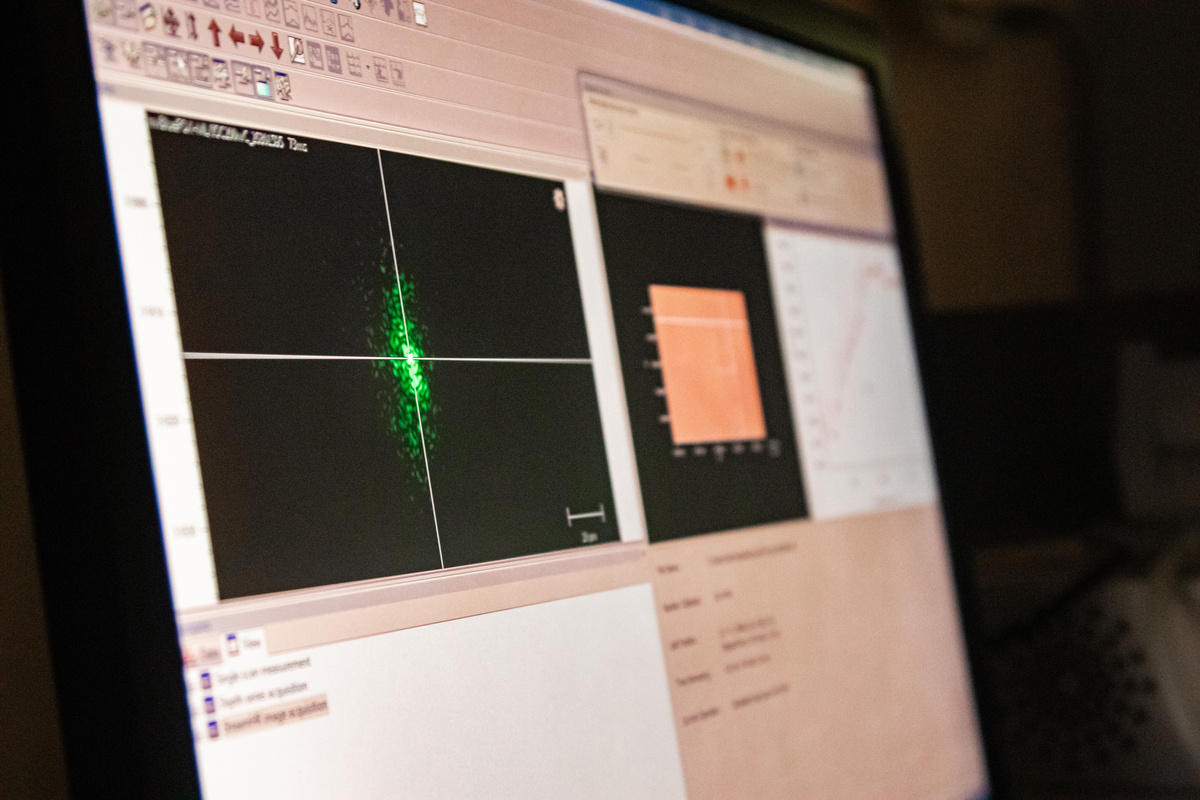 Фото Дмитрия Ковшова