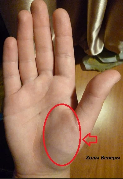 Холм Венеры без нормальной сетки линий "голый", почти без линий на нем. Фото из интернета.