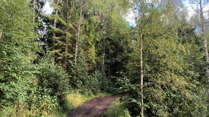 Фото: Maksim Konstantinov/Global Look Press
