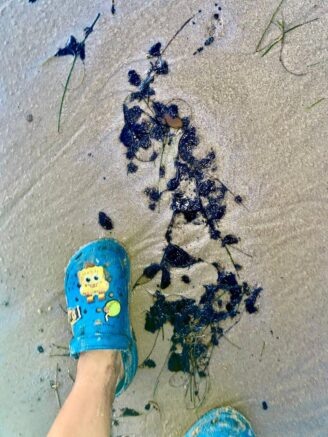    Фото: t.me/shtab_delfin