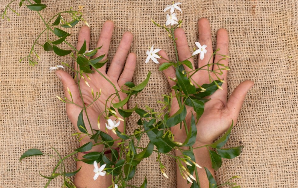 Фото с сайта: freepik.com 