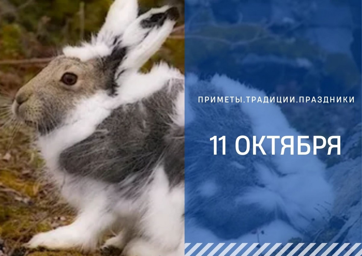   ГТРК "Ставрополье"