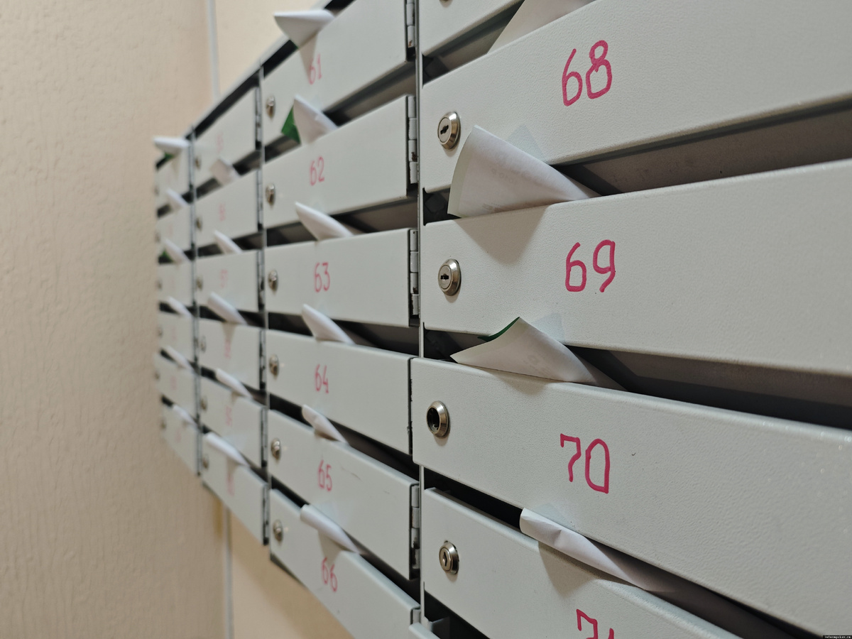 Фото: Анастасия Куртеева / ПАИ