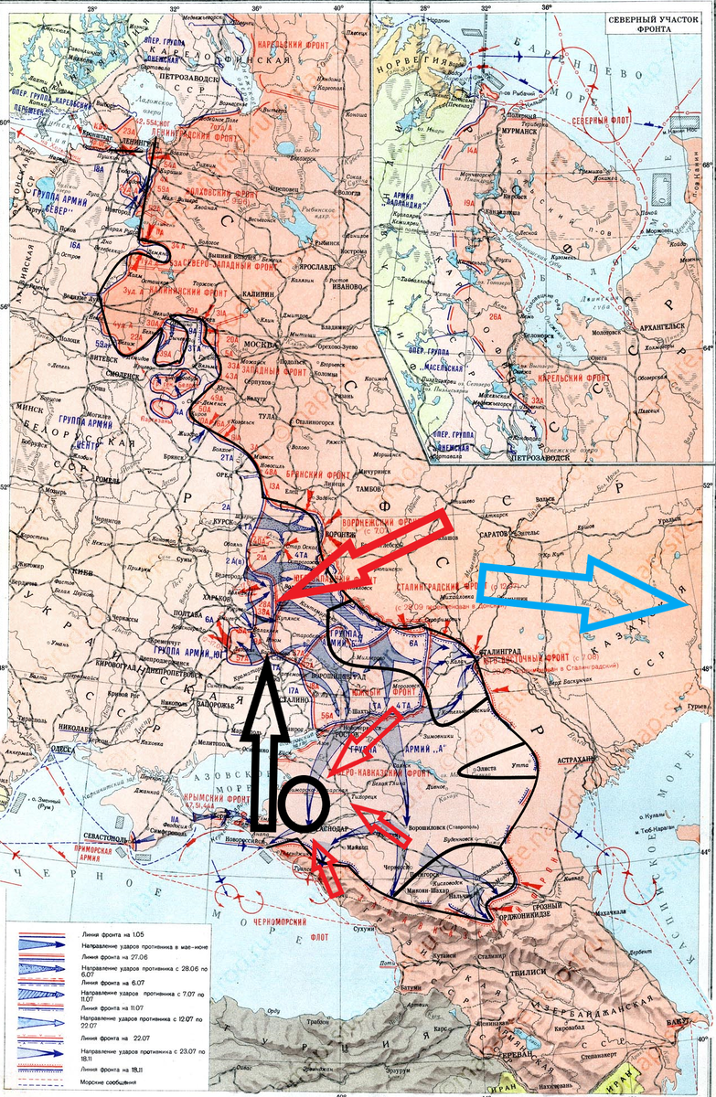 (Фото взято из открытых источников).