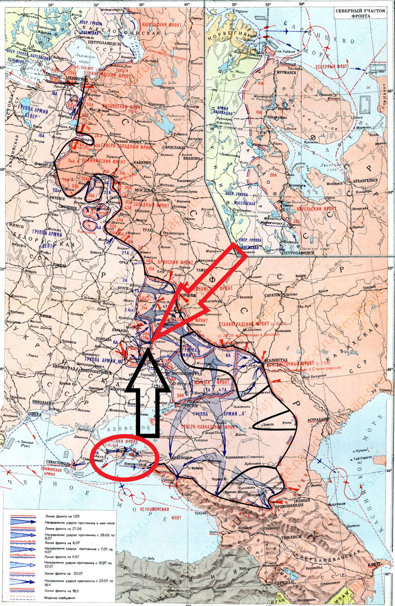 (Фото взято из открытых источников).