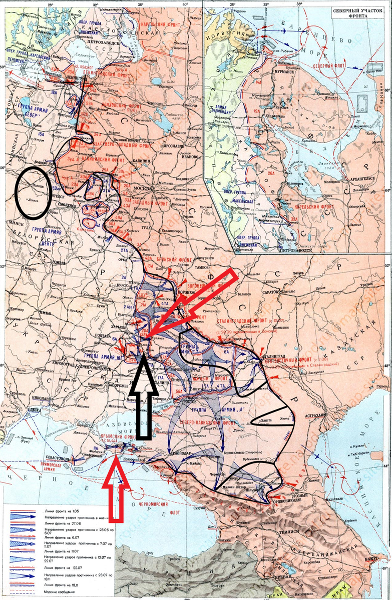 (Фото взято из открытых источников).