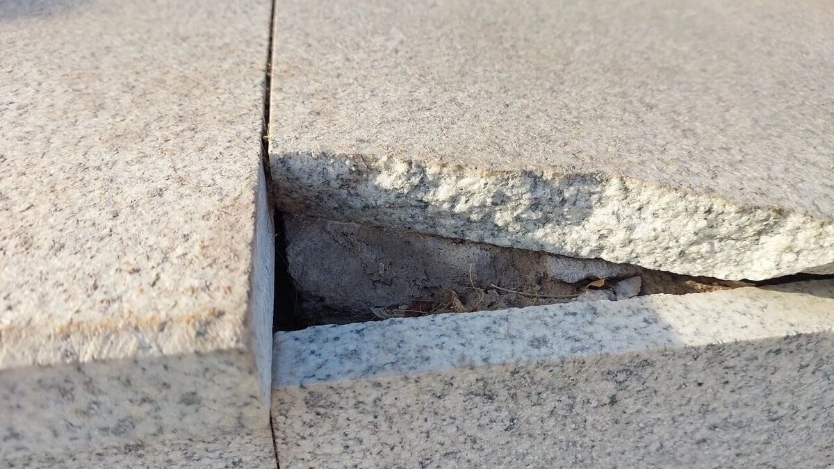     Источник: 56orb.ru