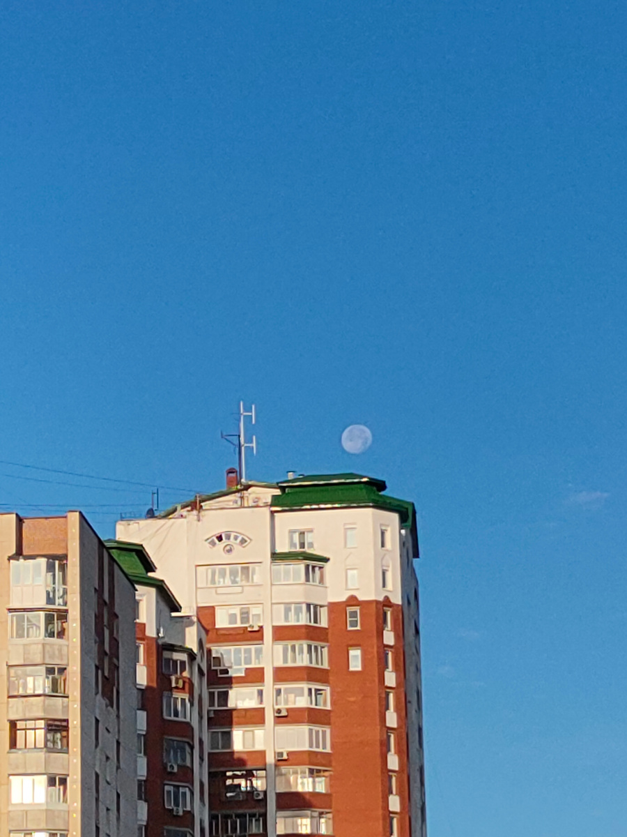 И днём и ночью кот учёный всё ходит по цепи кругом. Пушкин имел ввиду луну, правда?