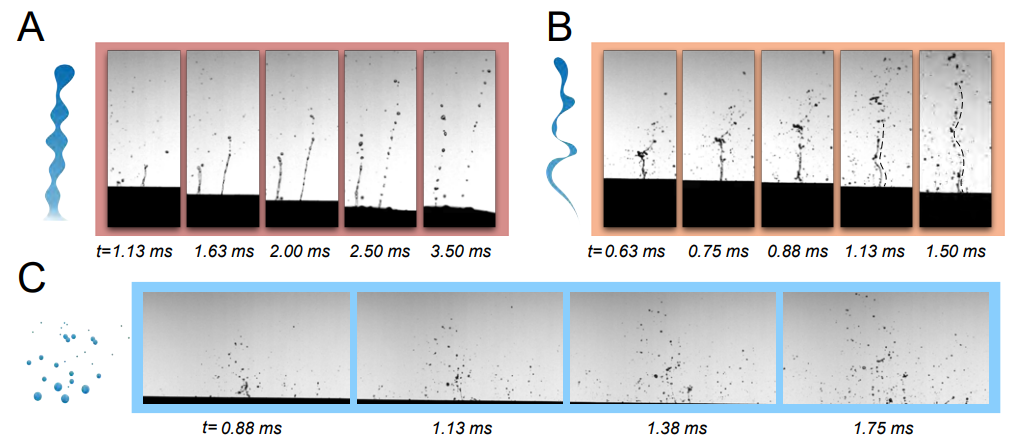  Sunghwan Jung et al. / PNAS, 2025