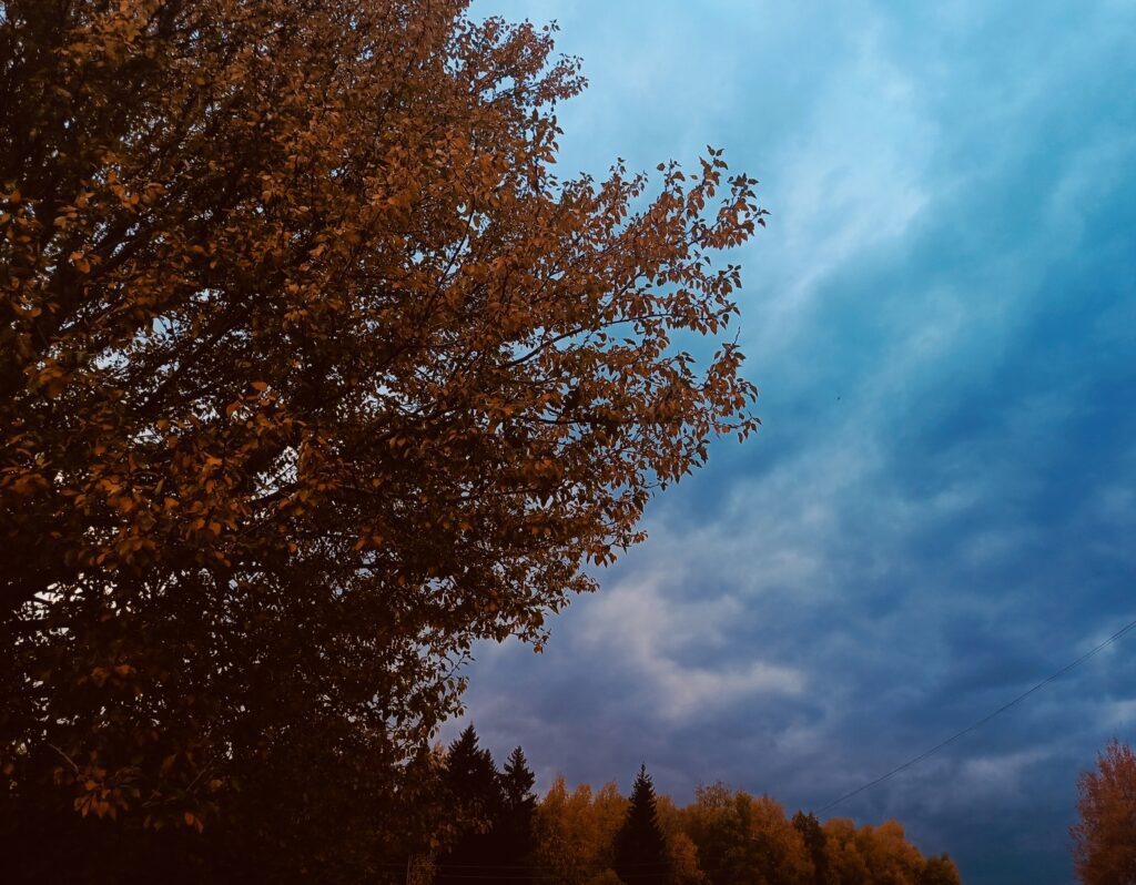    Фото: Ульяна Бажанова Иван Фистин