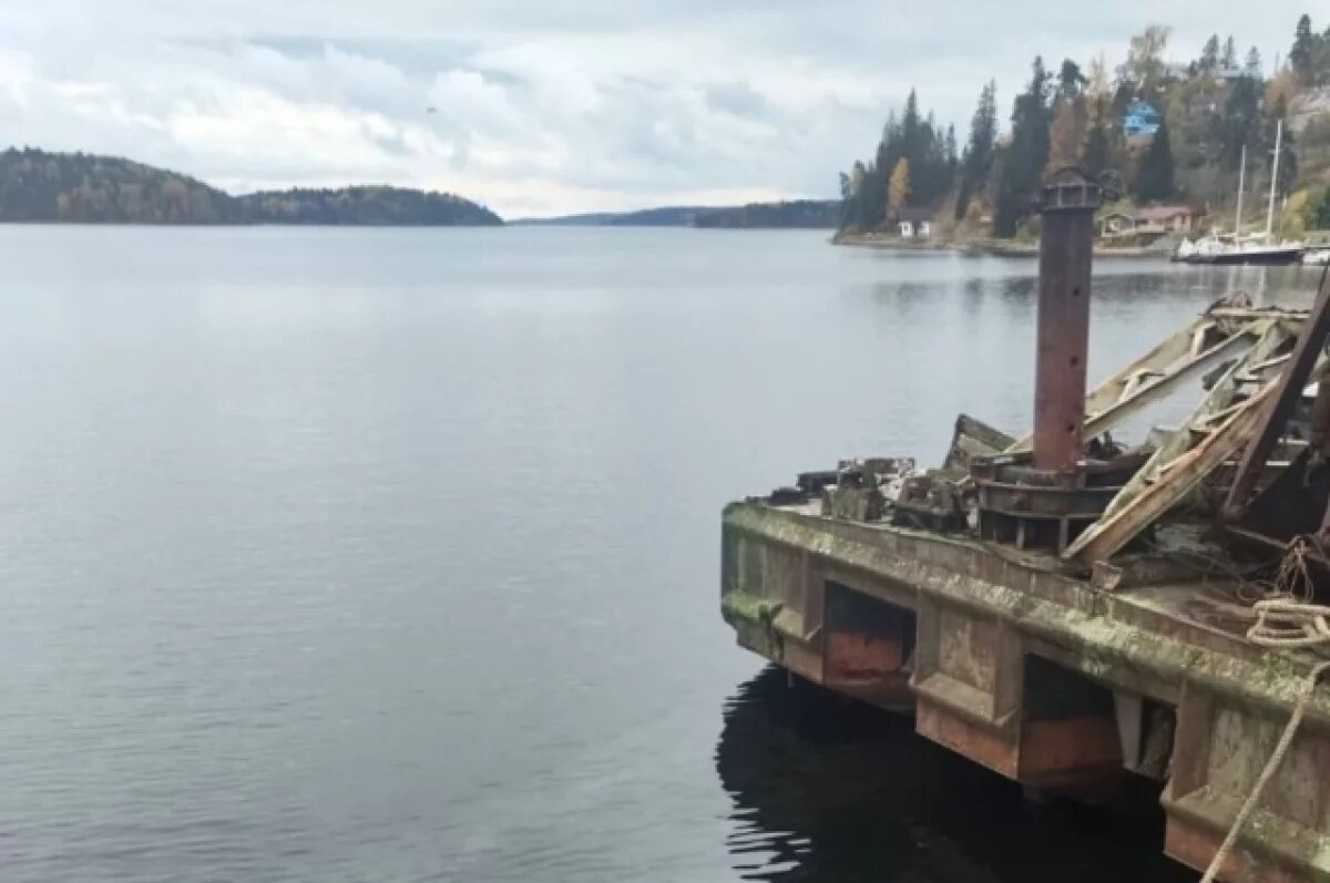    В Карелии проводят проверку разлива нефтепродуктов в Ладожском озере