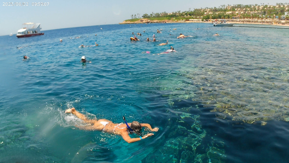 Снорклинг возле кораллового рифа нашего отеля. Бухта Шаркс Бэй, Шарм-эль Шейх, Египет - 2025.