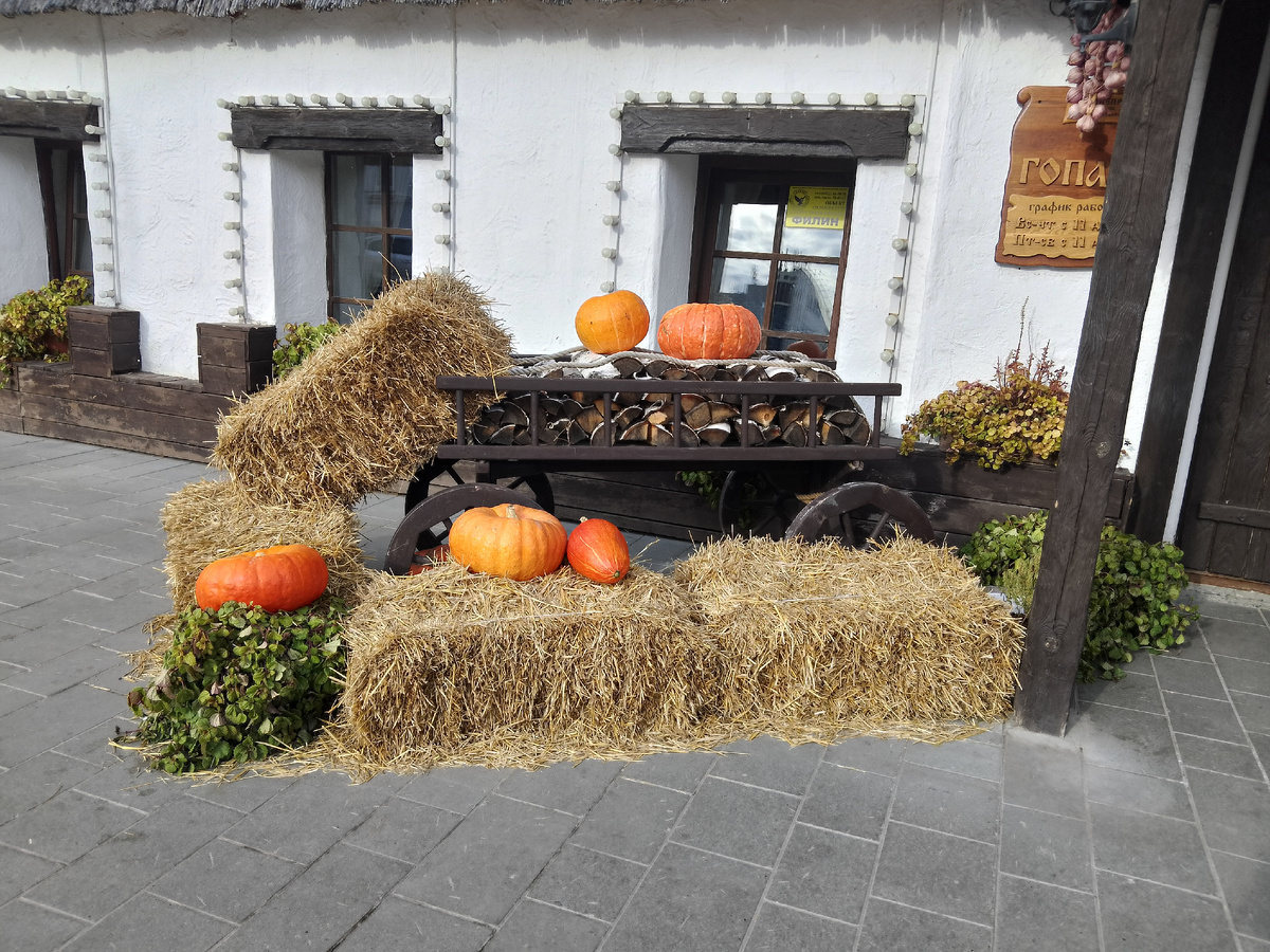 Фото автора, осенний Ульяновск