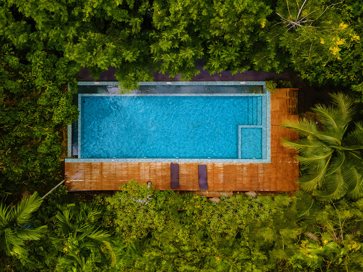     Фото: IMAGO/Zoonar.com/Fokke Baarssen/Global Look Press