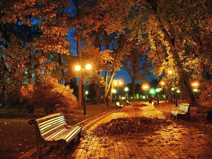 фото из интернета