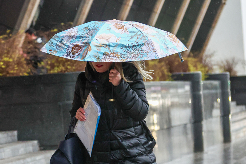    Наталья Шатохина/NEWS.ru