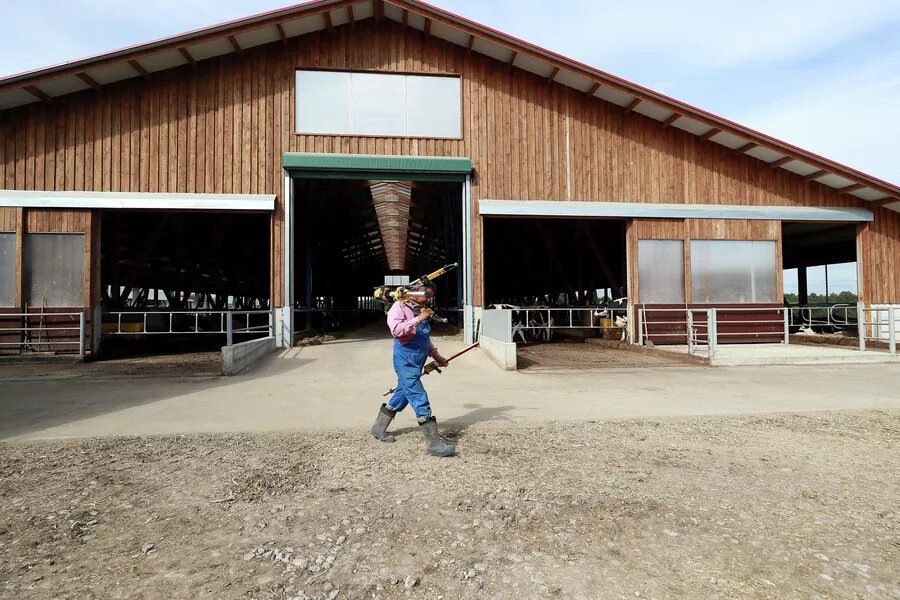 Фото из статьи в Дзен