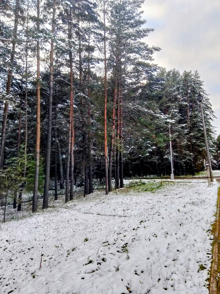 Утренняя красота 🤩 