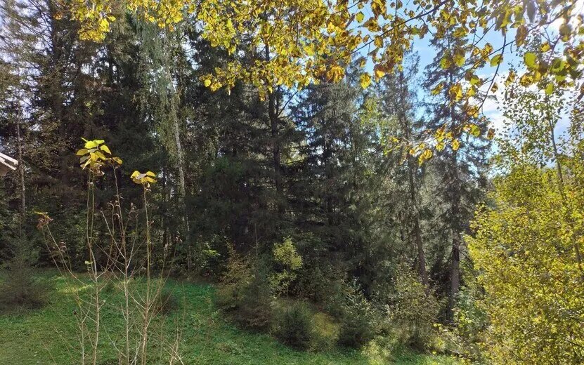    Погода в Ижевске на день: 11 октября ждем дневные +15°С