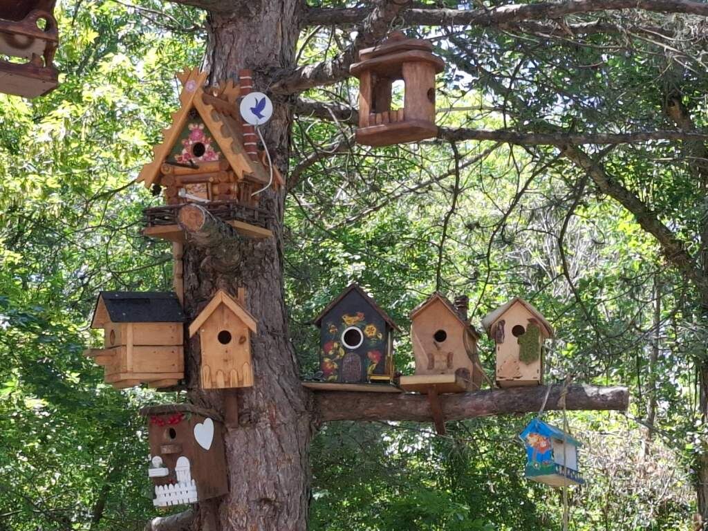    фото "Веселовские вести" Веселовские вести