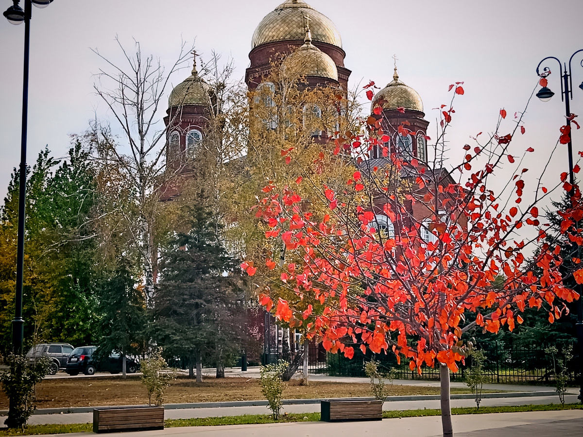 Фото автора