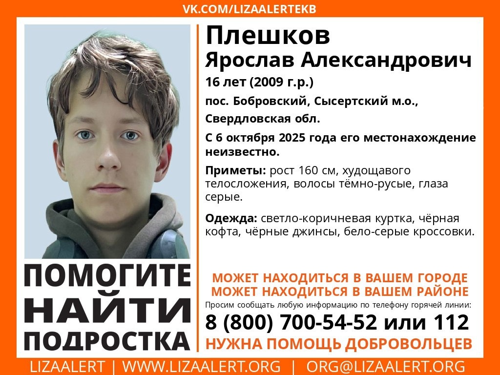    Фото: «Поисковый отряд «ЛизаАлерт» Свердловской области»