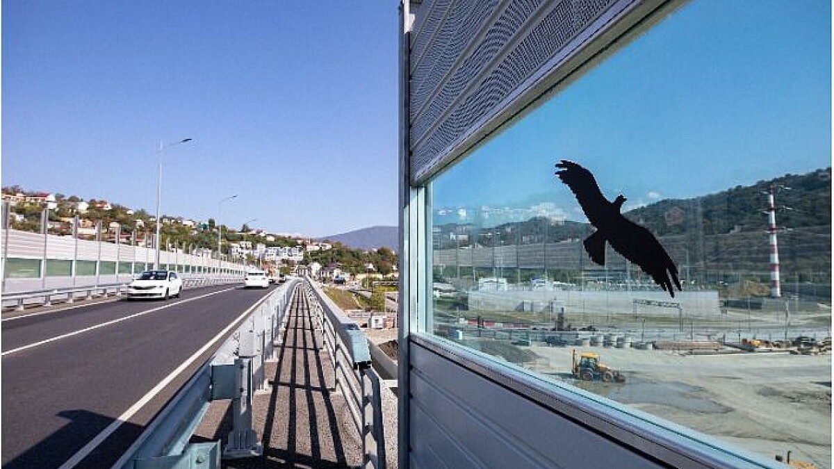    Фото: пресс-служба администрации Сочи