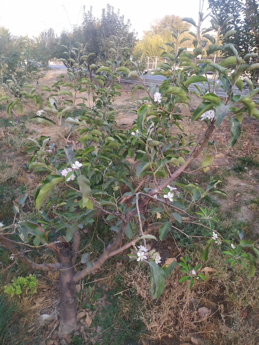 Фото автора.