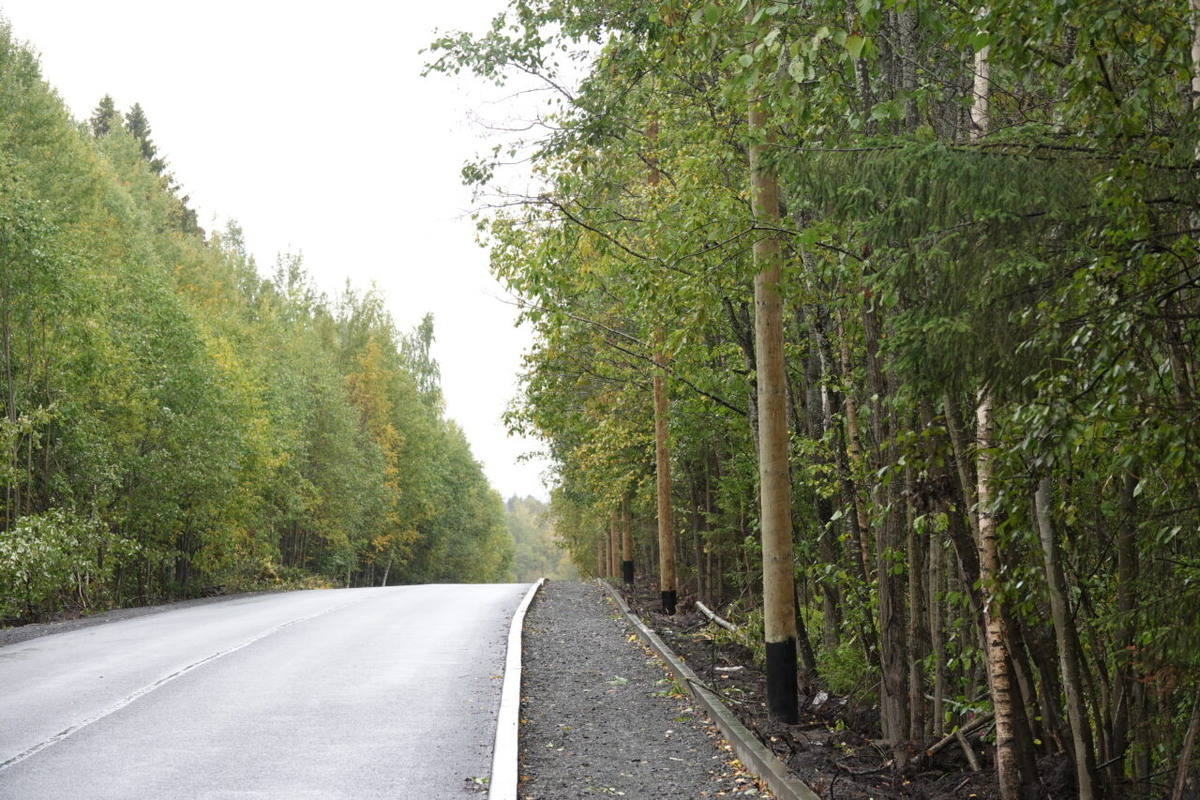    Фото: «Республика»/Родион Филиппов