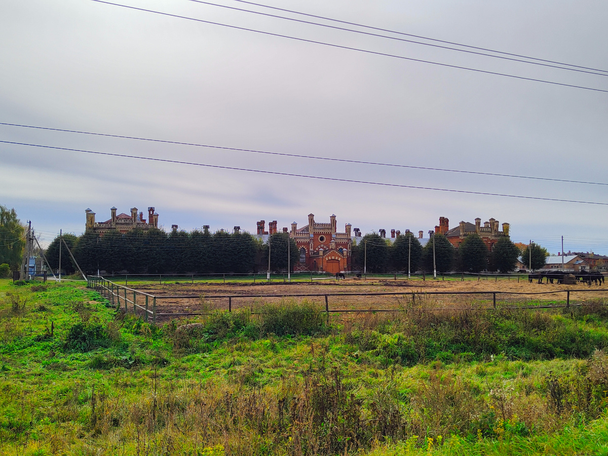 Остановился даже не доехав. Очень цепляет взгляд.