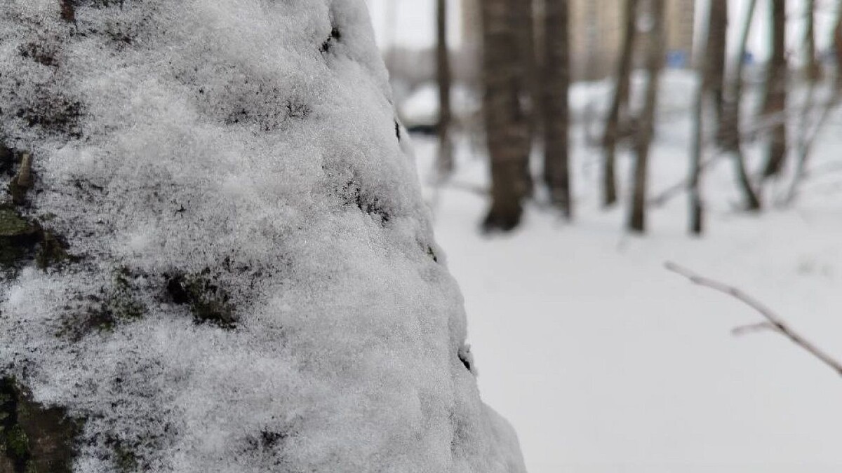    Фото: телеканал «Краснодар»