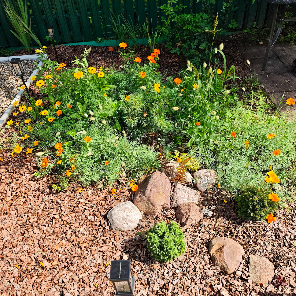 Сосну почти не видно