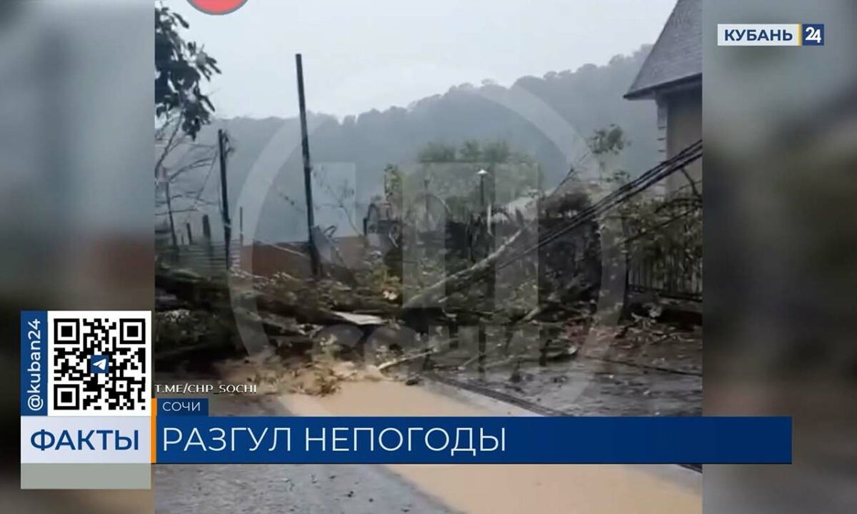    Фото t.me/chp_sochi