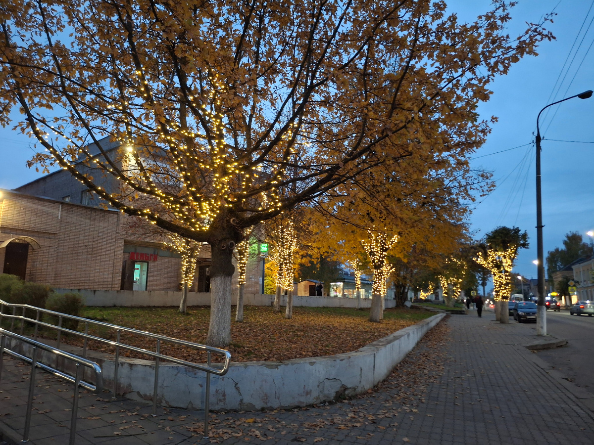 Фото автора канала. Рядом с остановкой вчера вечером