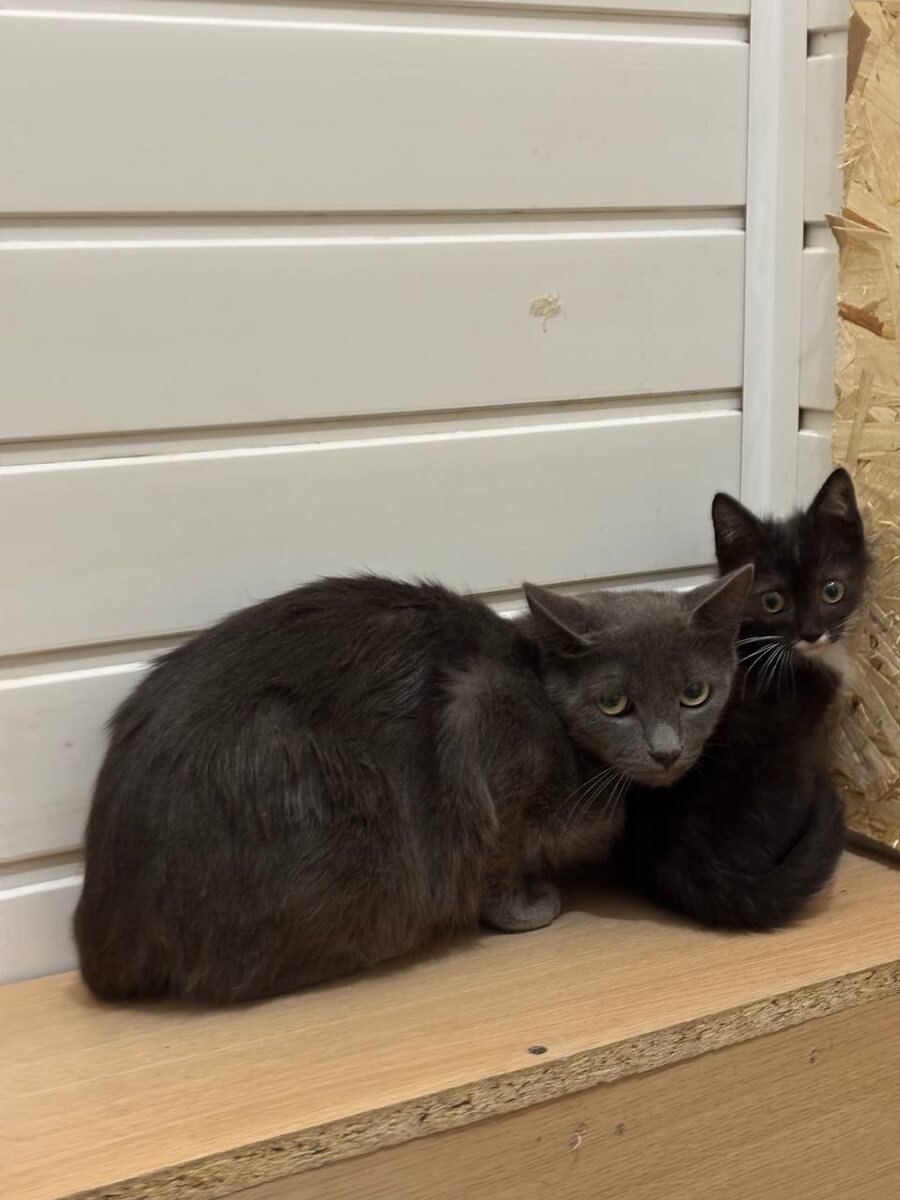 Когда только поймали